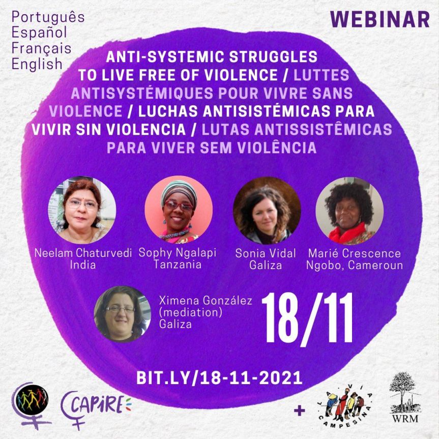 Webinaire « Luttes anti-systémiques pour vivre sans violence ». Le 18 novemnre de 14h à 16h – traduit en français